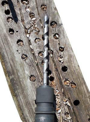 Masina-de-bulonat-si-gaurit-traverse-portabila-MAV-2500-M